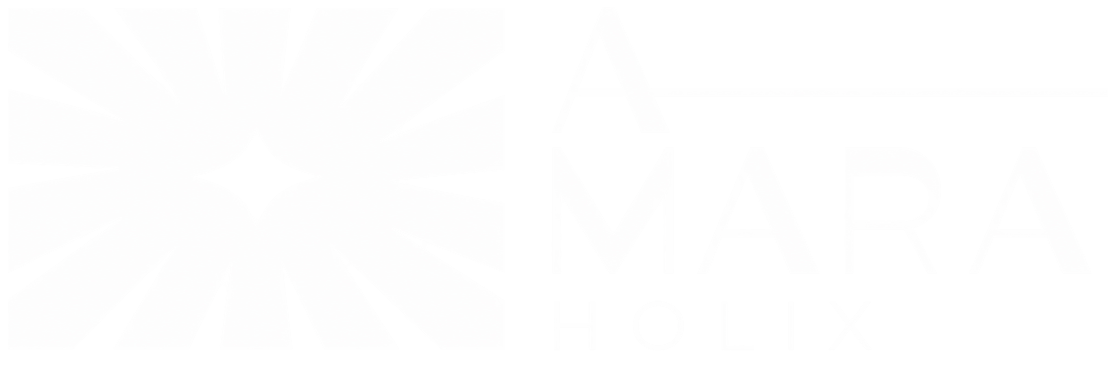 A-MARA-logo-completo